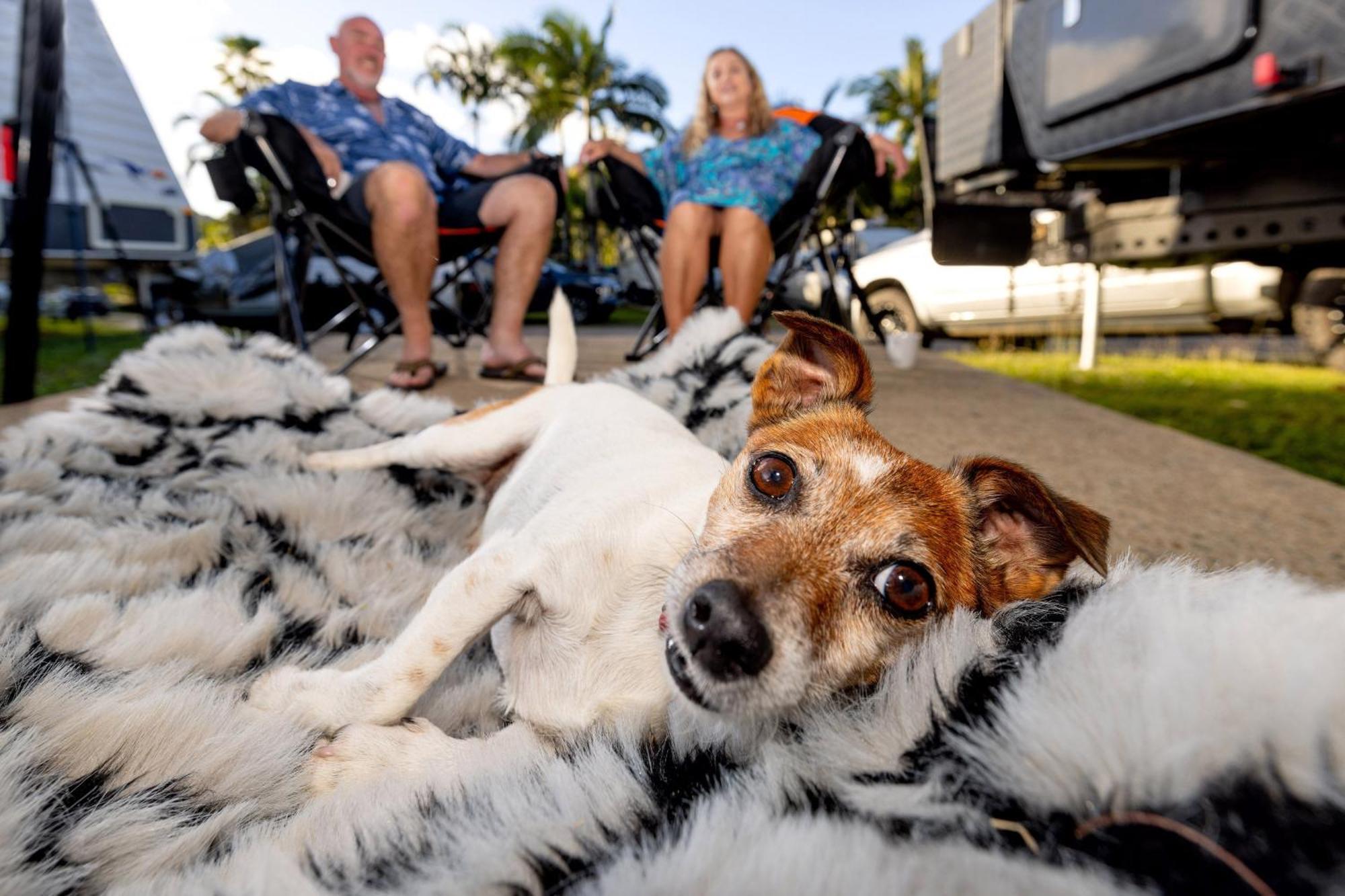 Big4 Whitsundays Tropical Eco Resort Airlie Beach Esterno foto