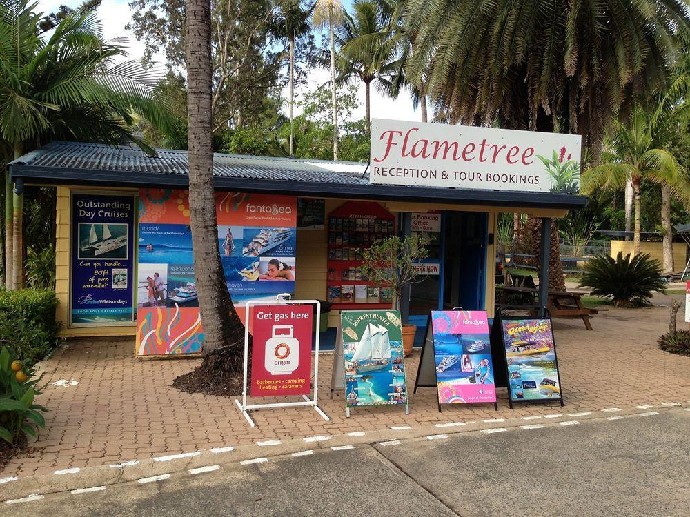 Big4 Whitsundays Tropical Eco Resort Airlie Beach Esterno foto